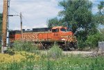 BNSF 4601 East Bound Beer Train